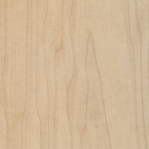 Maple wood sample